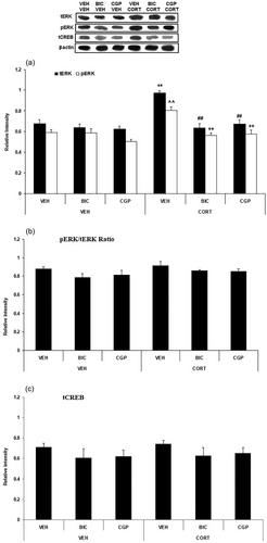 Systemic corticosterone enhances fear memory extinction in rats: Involvement of the infralimbic medial prefrontal cortex GABAA and GABAB receptors