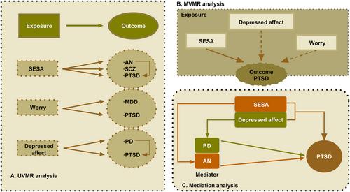 Neuroticism and posttraumatic stress disorder: A Mendelian randomization analysis