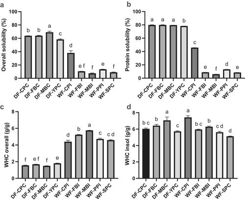 Techno-Functional Properties of Dry and Wet Fractionated Pulse Protein Ingredients