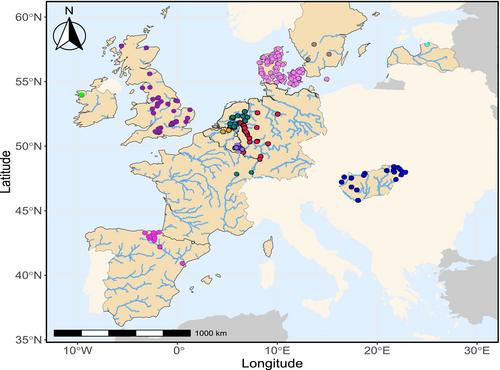 Divergent temporal responses of native macroinvertebrate communities to biological invasions