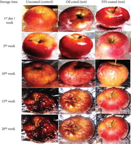 Bitter Apricot Seed Kernel Oil Coating for Food Preservation and Shelf-Life Extension