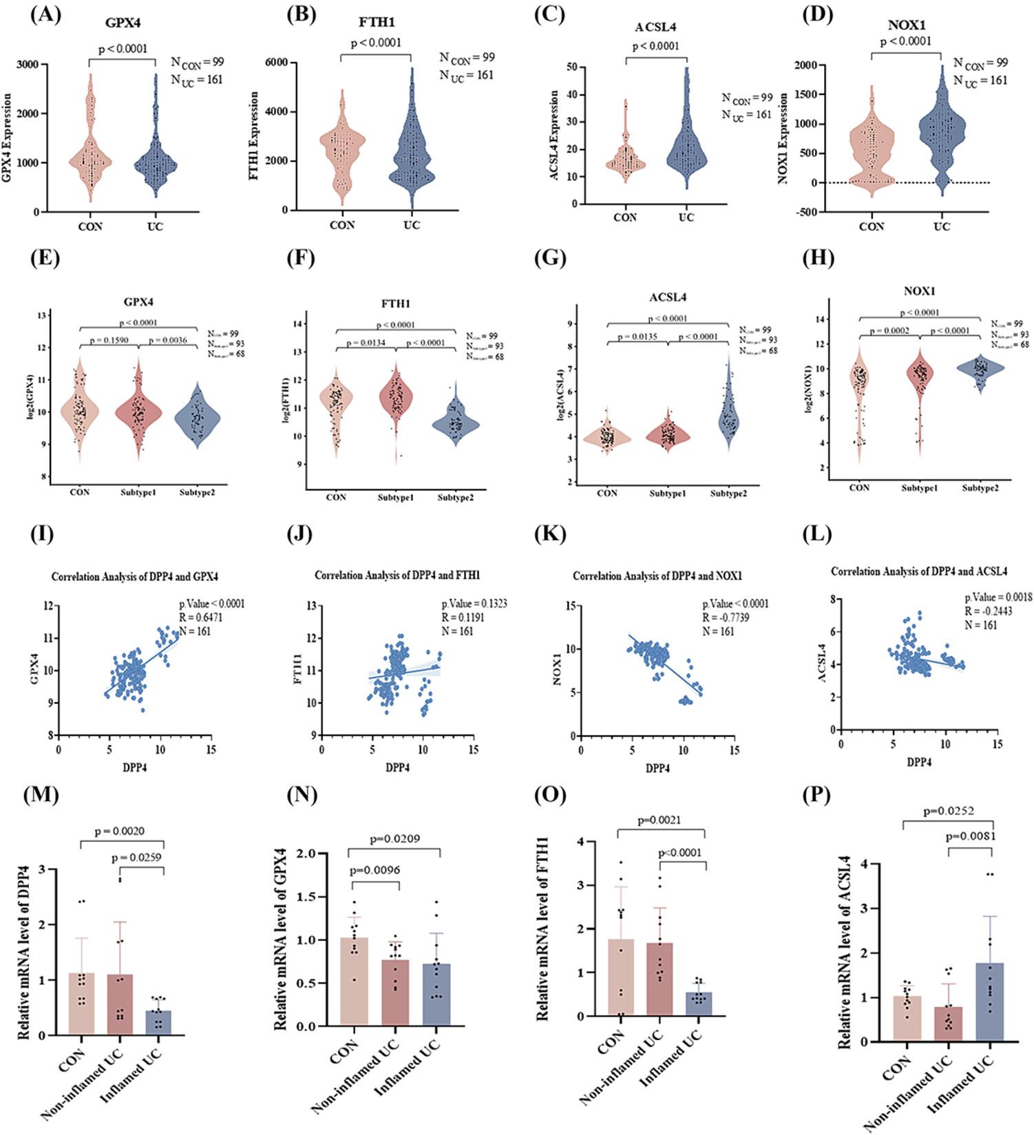 Dipeptidyl peptidase 4: A predictor of ferroptosis in ulcerative colitis