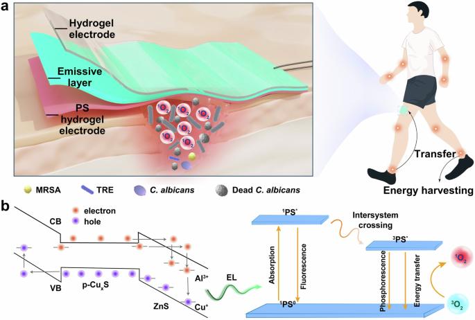 Body-worn and self-powered flexible optoelectronic device for metronomic photodynamic therapy