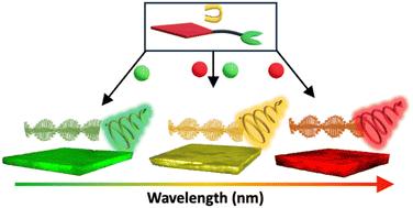 Lanthanide hydrogels with tunable circularly polarized luminescence (CPL) via supramolecular chirality induction†