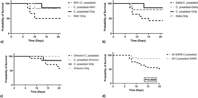 Developing a Coccidioides posadasii and SARS-CoV-2 Co-infection Model in the K18-hACE2 Transgenic Mouse