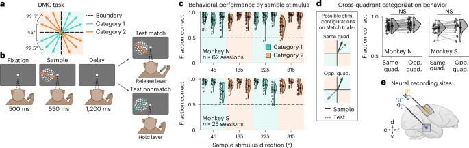 Primate superior colliculus is causally engaged in abstract higher-order cognition