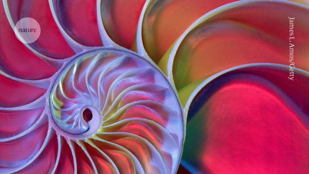 Abstract Image