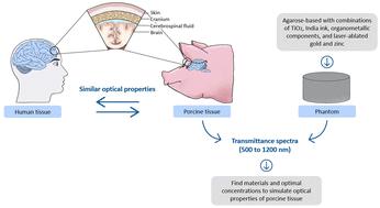 Development and optical characterisation of agarose-based phantoms mimicking biological tissues for studies of light penetration in the brain