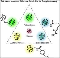 Tetraasteranes as homologues of cubanes: effective scaffolds for drug discovery†