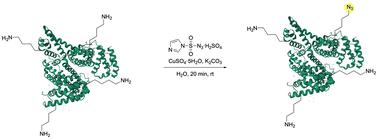 Rapid diazotransfer for selective lysine labelling†