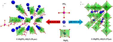 Form-controlled synthesis of a polymorphic nonlinear optical crystal CsMgPO4·6H2O†