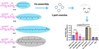 Synthesis of sulfated lactosyl glycosides for evaluation in vaccine adjuvant formulations†