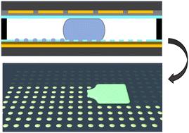 Improved Teflon lift-off for droplet microarray generation and single-cell separation on digital microfluidic chips†