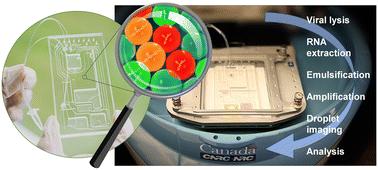 Sample-to-answer centrifugal microfluidic droplet PCR platform for quantitation of viral load†