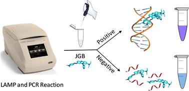New insights into the photophysical properties and interaction mechanisms of Janus green blue dye with polyanions and its applications in colorimetric visualization of loop-mediated isothermal amplification and polymerase chain reaction†