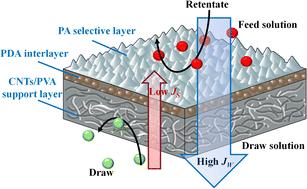 An ultrathin support layer based on carbon nanotubes/polyvinyl alcohol for forward osmosis membranes with outstanding water flux†