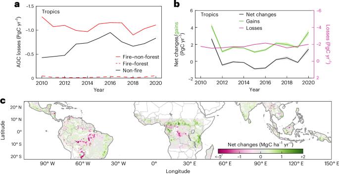 Satellite observations reveal the complex annual dynamics of tropical aboveground carbon