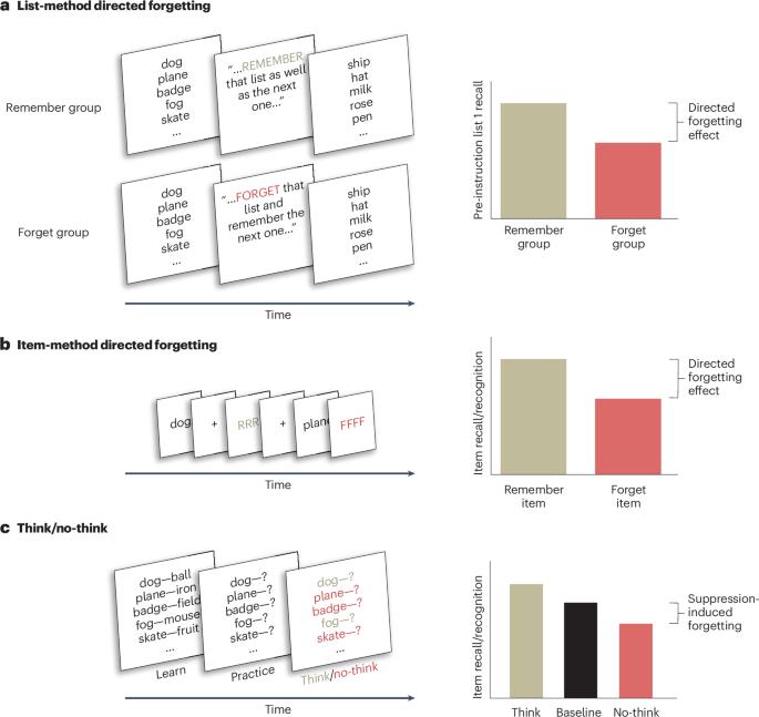 Active intentional and unintentional forgetting in the laboratory and everyday life