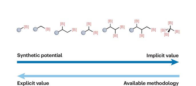 The current utility and future potential of multiborylated alkanes