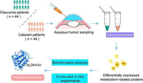Targeted Proteomics Profiling for Biomarker Discovery in Glaucoma Using the Olink Proteomics Platform