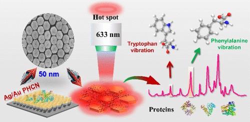 Advancing Protein Detection and Analysis Based on Ag/Au PHCN for Enhanced SERS Sensitivity and Specificity in Biomolecular Diagnostics