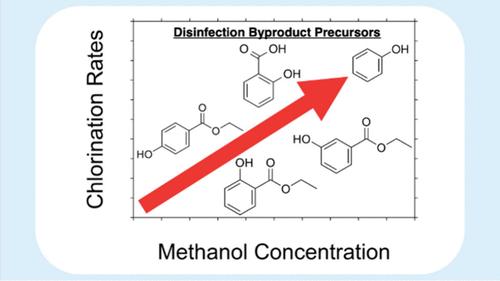 Methanol as a Carrier Solvent Can Influence Chlorination Rates of Phenolic Compounds in Chlorinated Waters