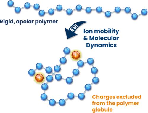 Polystyrene Chain Geometry Probed by Ion Mobility Mass Spectrometry and Molecular Dynamics Simulations