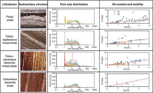 Controlling Factors of Shale Oil Enrichment in the Paleogene Funing Formation, Gaoyou Sag, Subei Basin, China