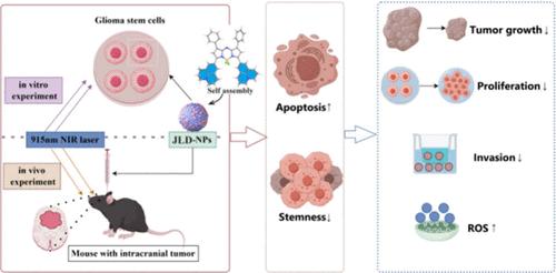 Novel NIR-II 3,5-Julolidinyl aza-BODIPY for Photothermal Therapy of Gliomas Stem Cells by Brain Stereotactic Injection