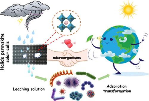 Microbial Immobilization for Enhancing Environmental Sustainability of Perovskite Photovoltaics