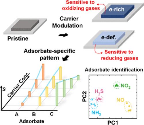 Chemisorption Manipulation by Adjusting the Carrier Concentration of the Adsorbent and Its Application to Adsorbate Identification