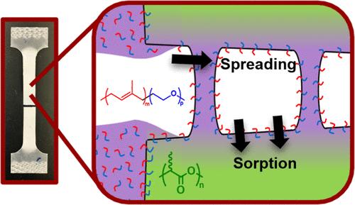 Poly(Isoprene)-Block-Poly(Ethylene Oxide) Diblock Copolymer Toughened Polylactide
