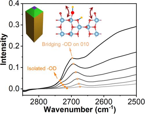 Anatase TiO2 Surface Hydration: Infrared Vibrational Assignment and Facet-Specific Stability