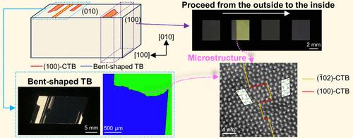 Bent-Shaped Twin Boundary in β-Ga2O3 Crystals