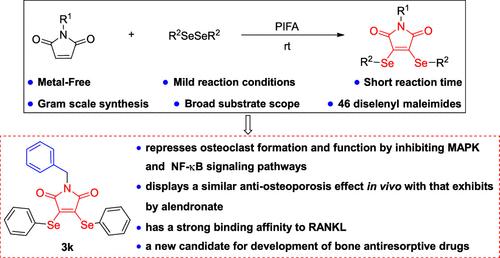 Synthesis and Antiosteoporotic Characterization of Diselenyl Maleimides: Discovery of a Potent Agent for the Treatment of Osteoporosis by Targeting RANKL