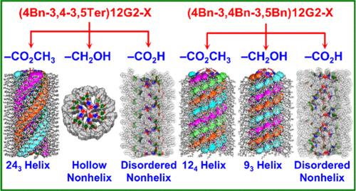 Hierarchical Self-Organization and Disorganization of Helical Supramolecular Columns Mediated by H-Bonding and Shape Complementarity