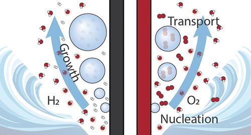 Gas Evolution in Water Electrolysis