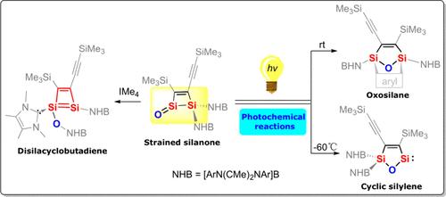 Stable Strained Donor-Free Silanone and Its Derived NHC-Stabilized Disilacyclobutadiene and Cyclic Alkenyl Silylene