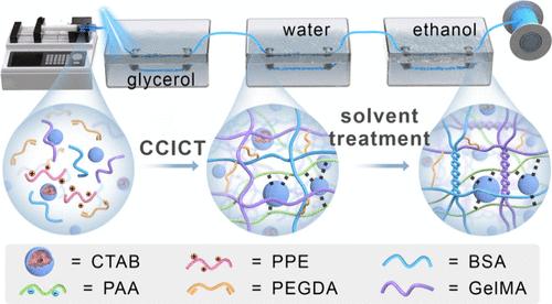 Charge-Conversion-Induced Complexation Toughening of Adaptive and Degradable Protein Optical Fibers for Interventional Cancer Therapy