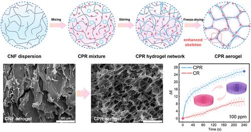 Pore-Refined Biobased Aerogel for Gas-Sensitive Intelligent Colorimetric Tags