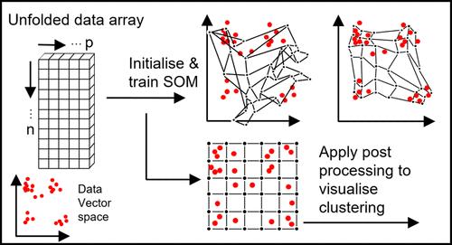 Self-Organizing Maps for Secondary Ion Mass Spectrometry