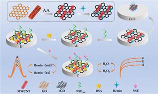 A hemin/rGO/MWCNT nanocomposite-based dual signal electrochemical aptasensor for sensitive detection of NSE†