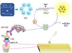 An in situ ratiometric fluorescence immunosensor via Mn2+-triggered aggregation-induced emission transformation of levodopa fluorescent copolymer nanoparticles†