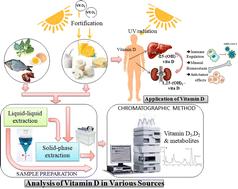 Recent development on the extraction, detection, and quantification of vitamin D from various sources – an update