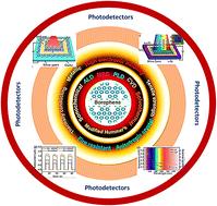 Advances in borophene based photodetectors for a sustainable tomorrow: a comprehensive review