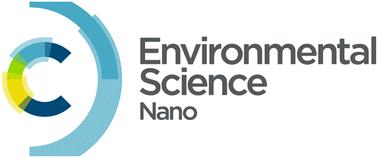 A new scope for Environmental Science: Nano in its tenth year