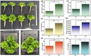 Thermal stability enhancement of an Mn4+-activated germanate phosphor by a cationic non-equivalent substitution strategy†