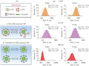 Self-Assembling Ceramide 2-Cyclodextrin Inclusion Nanoparticles for Corneal Repair