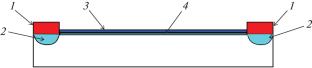 Development of a Linear Position-Sensitive Scintillation Neutron Detector Based on ZnS(Ag):6Li and Silicon Photomultipliers