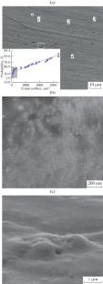 Comparative Analysis of the Surface Morphology of Dense Membrane Filters Pd95Pb5 and Pd93.5In6.0Ru0.5